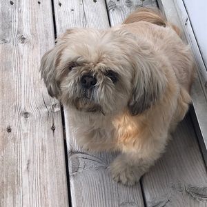 Meet your Posher, Maria